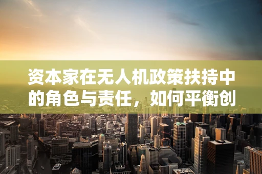 资本家在无人机政策扶持中的角色与责任，如何平衡创新与监管？