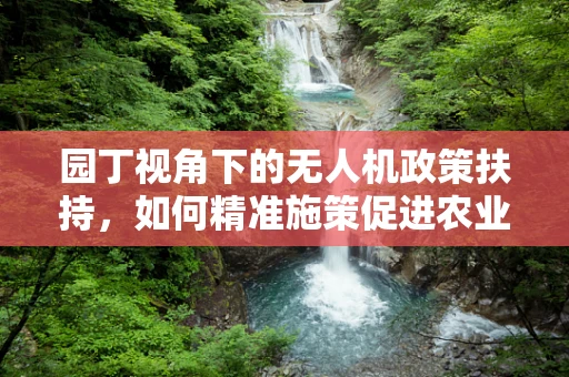 园丁视角下的无人机政策扶持，如何精准施策促进农业智能化？