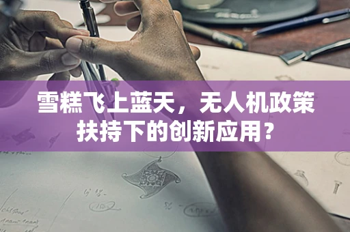 雪糕飞上蓝天，无人机政策扶持下的创新应用？