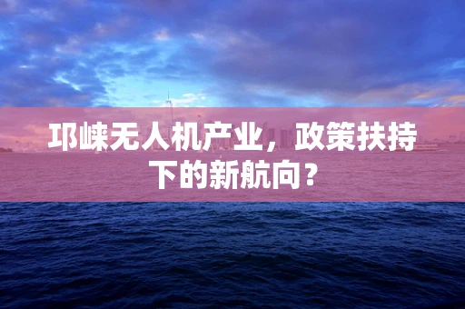邛崃无人机产业，政策扶持下的新航向？