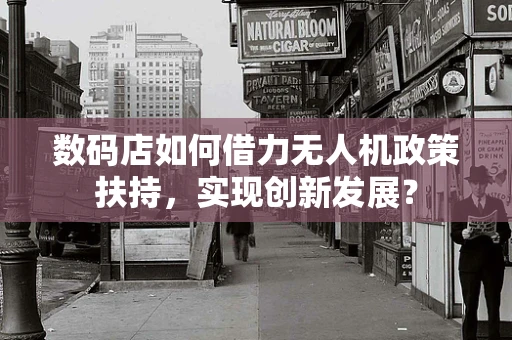 数码店如何借力无人机政策扶持，实现创新发展？