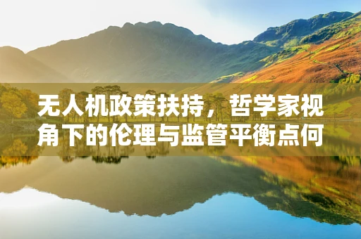 无人机政策扶持，哲学家视角下的伦理与监管平衡点何在？