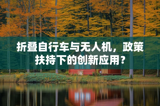 折叠自行车与无人机，政策扶持下的创新应用？