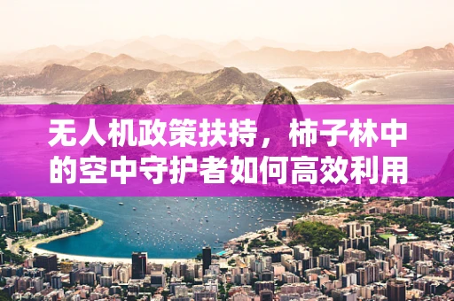 无人机政策扶持，柿子林中的空中守护者如何高效利用？