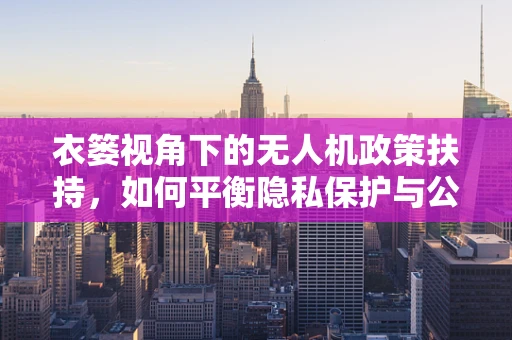 衣篓视角下的无人机政策扶持，如何平衡隐私保护与公共安全？