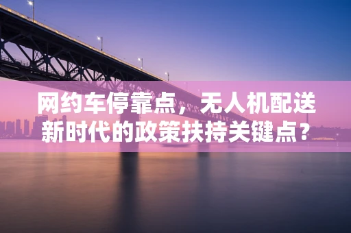 网约车停靠点，无人机配送新时代的政策扶持关键点？