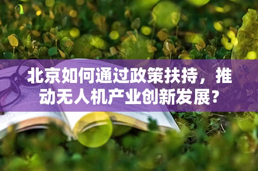 北京如何通过政策扶持，推动无人机产业创新发展？