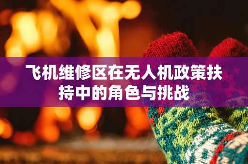 飞机维修区在无人机政策扶持中的角色与挑战