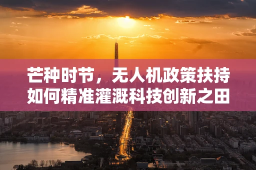 芒种时节，无人机政策扶持如何精准灌溉科技创新之田？