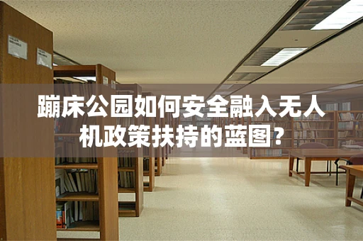 蹦床公园如何安全融入无人机政策扶持的蓝图？