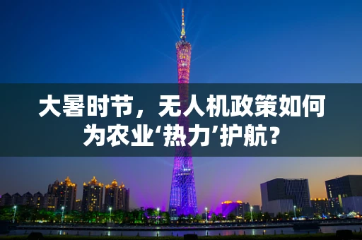 大暑时节，无人机政策如何为农业‘热力’护航？