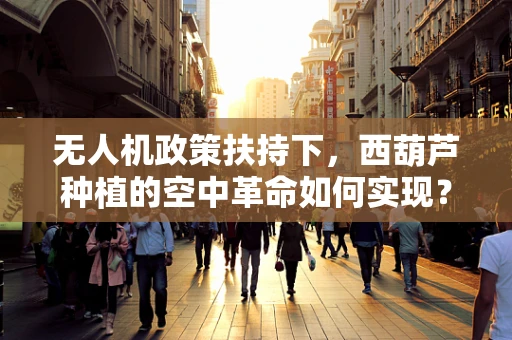 无人机政策扶持下，西葫芦种植的空中革命如何实现？