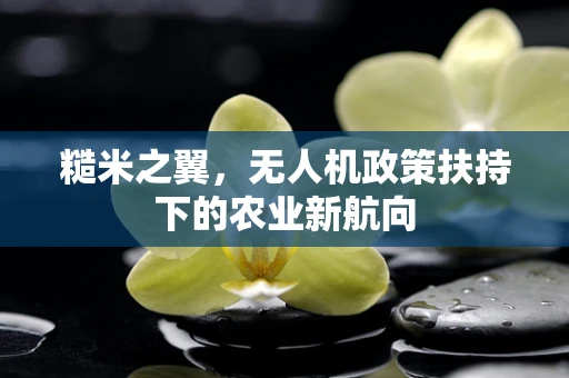 糙米之翼，无人机政策扶持下的农业新航向