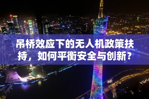 吊桥效应下的无人机政策扶持，如何平衡安全与创新？