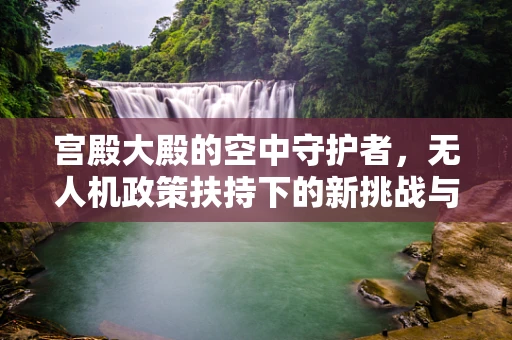宫殿大殿的空中守护者，无人机政策扶持下的新挑战与机遇？