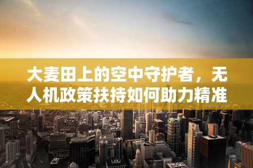 大麦田上的空中守护者，无人机政策扶持如何助力精准农业？
