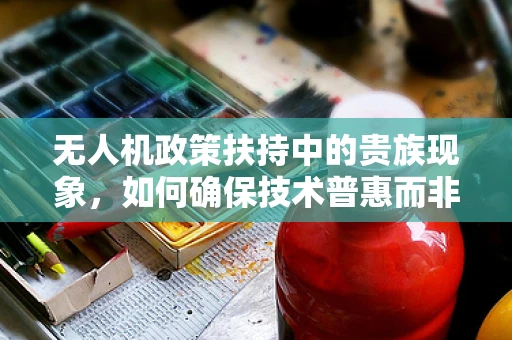 无人机政策扶持中的贵族现象，如何确保技术普惠而非加剧分化？