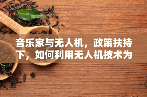 音乐家与无人机，政策扶持下，如何利用无人机技术为音乐创作与传播插上翅膀？