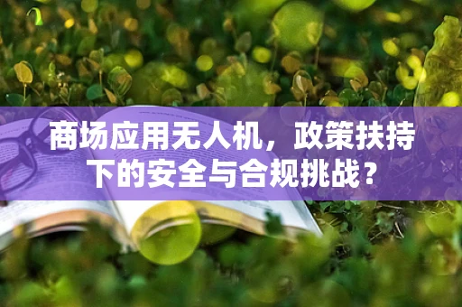 商场应用无人机，政策扶持下的安全与合规挑战？
