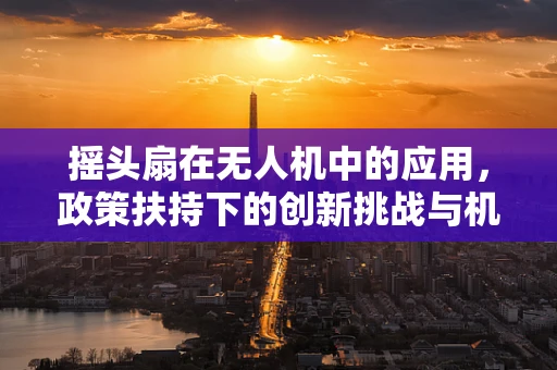 摇头扇在无人机中的应用，政策扶持下的创新挑战与机遇？