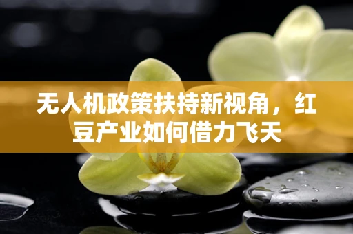 无人机政策扶持新视角，红豆产业如何借力飞天