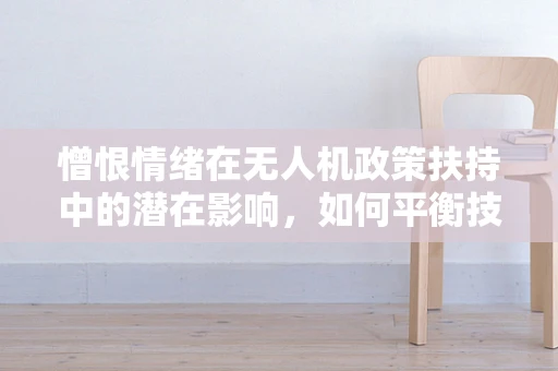 憎恨情绪在无人机政策扶持中的潜在影响，如何平衡技术进步与公众情绪？