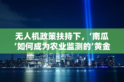 无人机政策扶持下，‘南瓜’如何成为农业监测的‘黄金眼’？