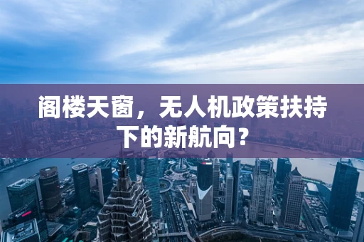 阁楼天窗，无人机政策扶持下的新航向？