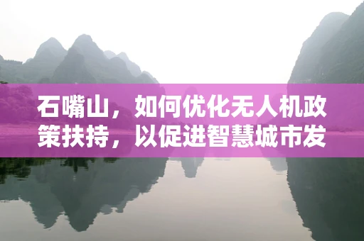 石嘴山，如何优化无人机政策扶持，以促进智慧城市发展？