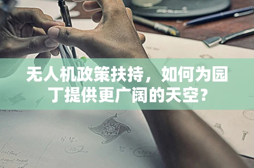 无人机政策扶持，如何为园丁提供更广阔的天空？