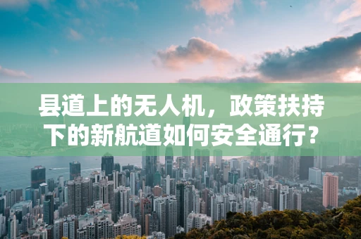 县道上的无人机，政策扶持下的新航道如何安全通行？