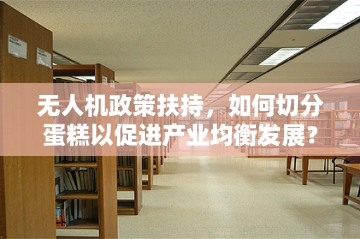 无人机政策扶持，如何切分蛋糕以促进产业均衡发展？