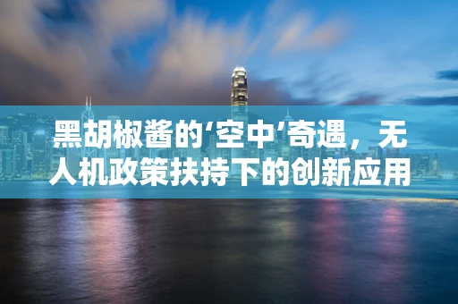 黑胡椒酱的‘空中’奇遇，无人机政策扶持下的创新应用？