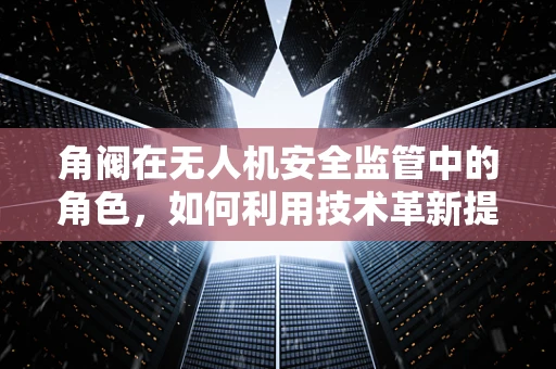 角阀在无人机安全监管中的角色，如何利用技术革新提升监管效率？