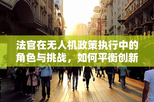法官在无人机政策执行中的角色与挑战，如何平衡创新与安全？
