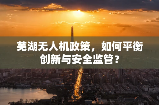 芜湖无人机政策，如何平衡创新与安全监管？