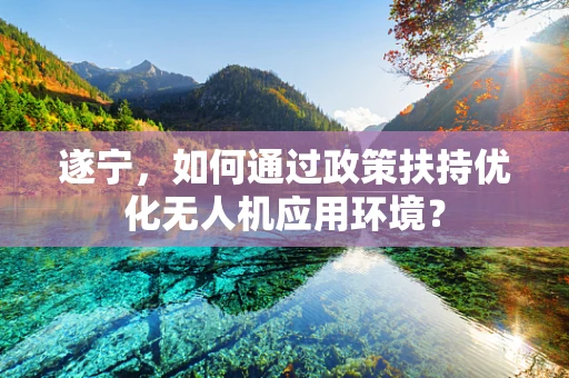 遂宁，如何通过政策扶持优化无人机应用环境？