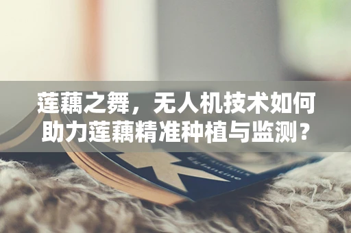 莲藕之舞，无人机技术如何助力莲藕精准种植与监测？