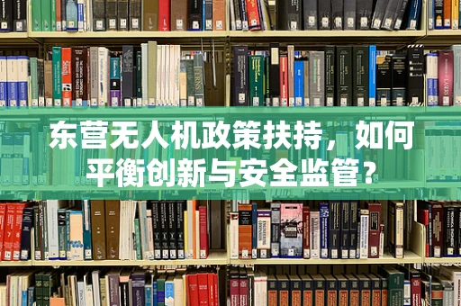 东营无人机政策扶持，如何平衡创新与安全监管？