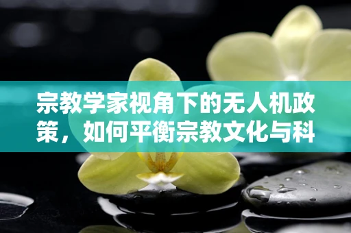 宗教学家视角下的无人机政策，如何平衡宗教文化与科技创新？