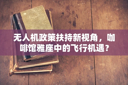 无人机政策扶持新视角，咖啡馆雅座中的飞行机遇？