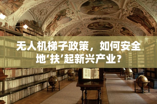 无人机梯子政策，如何安全地‘扶’起新兴产业？