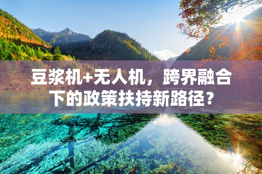豆浆机+无人机，跨界融合下的政策扶持新路径？