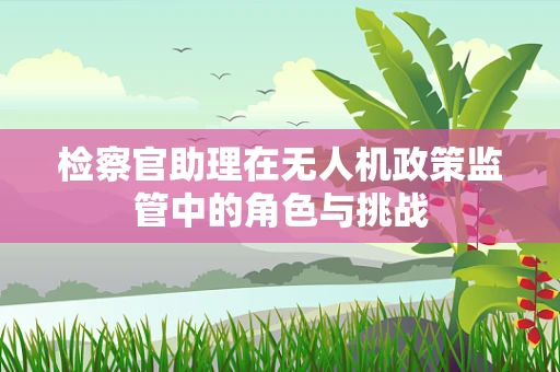 检察官助理在无人机政策监管中的角色与挑战