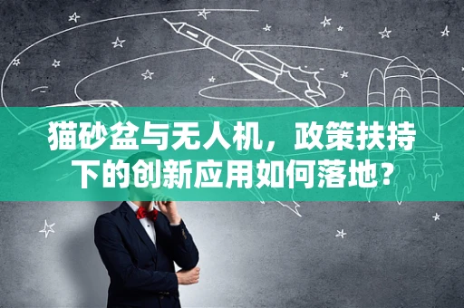 猫砂盆与无人机，政策扶持下的创新应用如何落地？