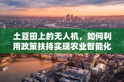 土豆田上的无人机，如何利用政策扶持实现农业智能化？