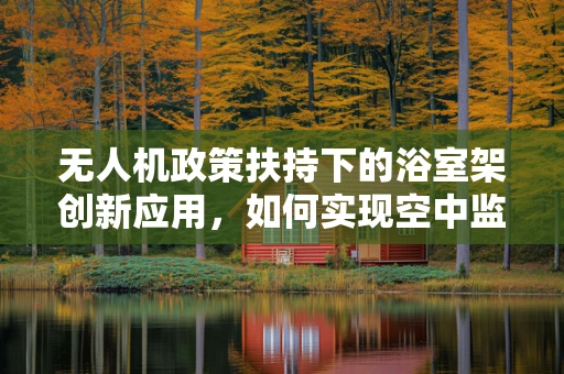 无人机政策扶持下的浴室架创新应用，如何实现空中监管与地面创新的融合？