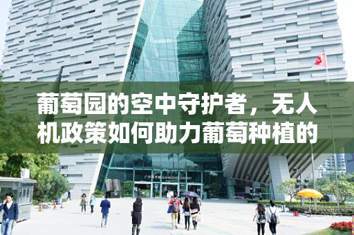 葡萄园的空中守护者，无人机政策如何助力葡萄种植的智慧升级？