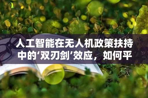 人工智能在无人机政策扶持中的‘双刃剑’效应，如何平衡创新与安全？