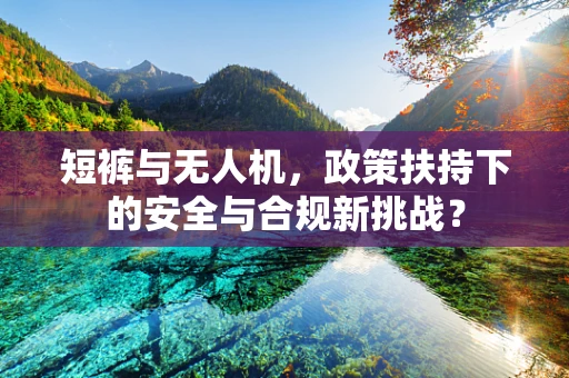 短裤与无人机，政策扶持下的安全与合规新挑战？
